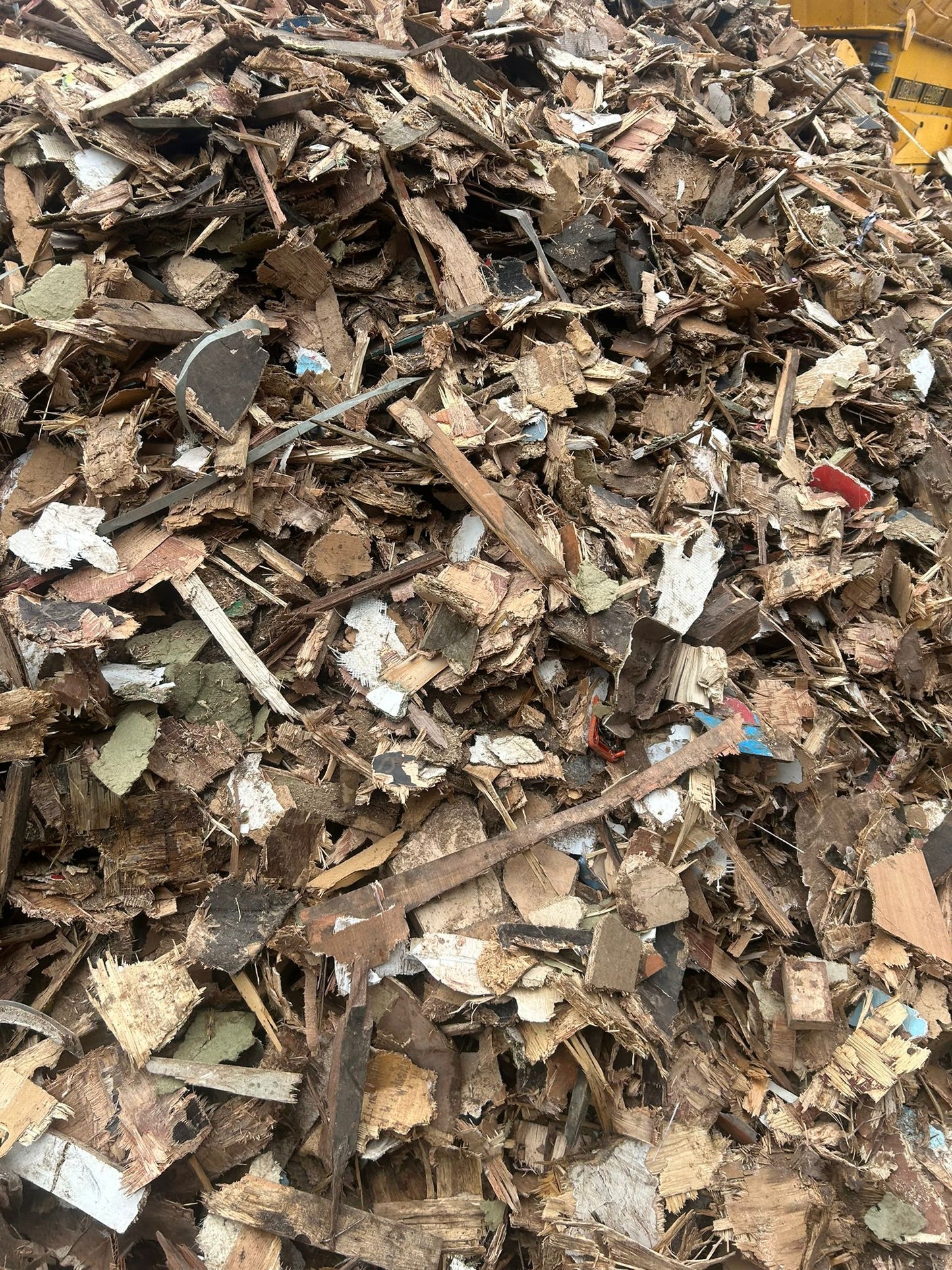 Wood chips For Sale